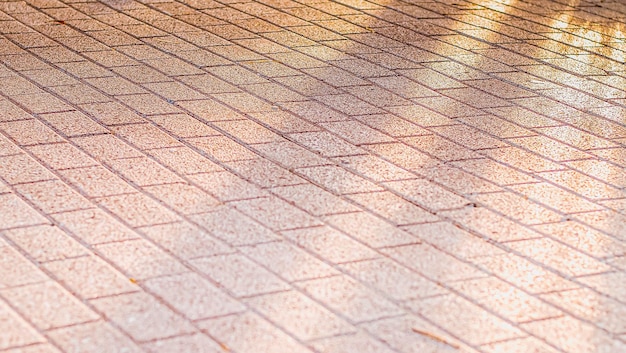 sunlight shine on walkway pavement