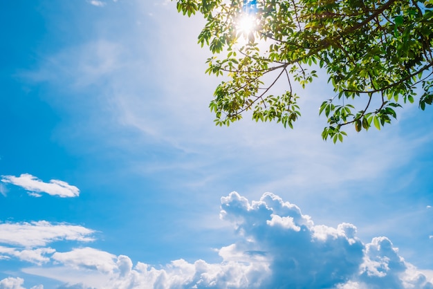 Sunlight on the sky background at noon.