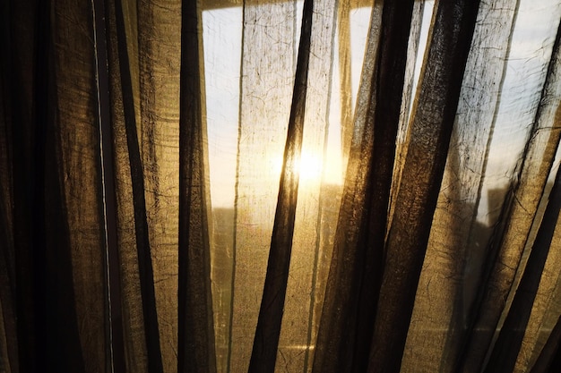 Sunlight streaming through curtain