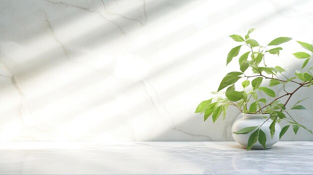 Sunlit branch with green leaves casting shadow on white marble tile wall wood table copy space