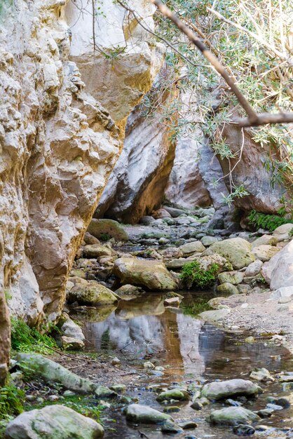 Photo sunlit multicolored rocks of avakas gorge in cyprus