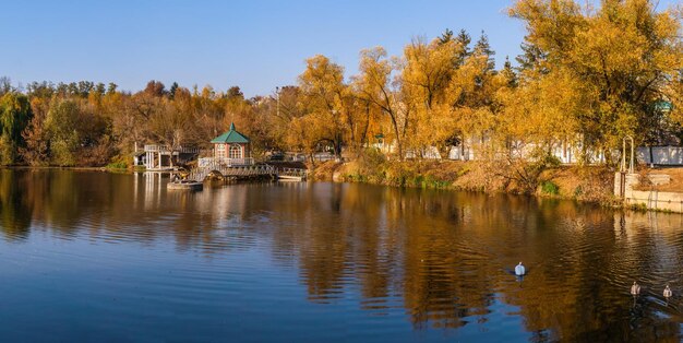 Sunny autumn evening on the blue lake with yellow trees the ivanki village in cherkasy region