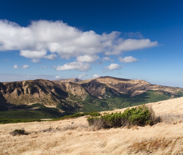 Sunny autumn landscape in the mountains. Dry grass on the slope. Blue sky with cumulus clouds. Carpathians, Ukraine, Europe