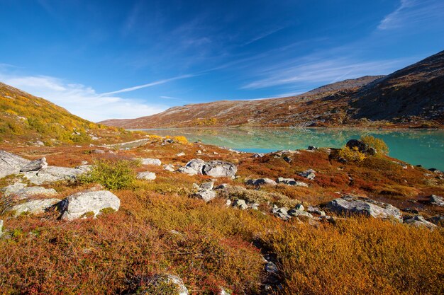 日当たりの良い秋の風景ノルウェーガムレStrynefjellsvegen