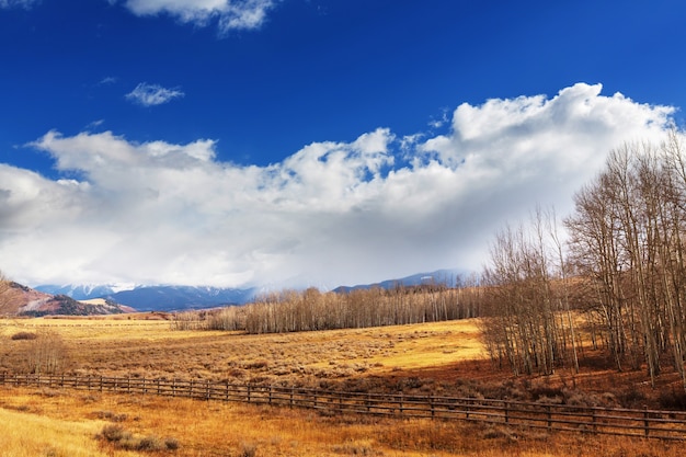 Sunny autumn meadow