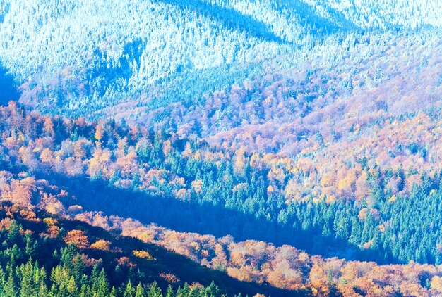 Sunny autumn mountain forest and first autumn frost on trees top (on mountainside).