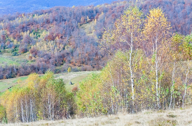 Солнечный осенний горный лес и стог сена на склоне горы