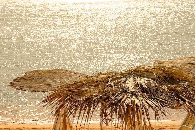 Фото Солнечный берег в подсветке с соломенными зонтиками концепция отпуска и релаксации на закате