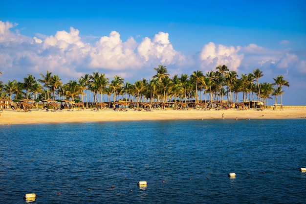 Foto spiaggia soleggiata con ombrelloni di palme e turisti a salalah oman