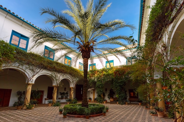 Photo the sunny court in cordoba, spain