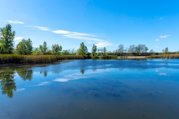 Sunny day on a calm river in summer