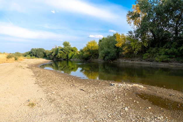 Sunny day on a calm river in summer