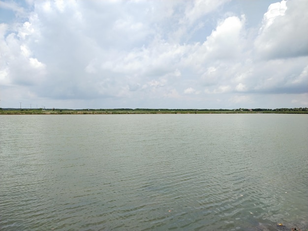 Sunny day on the fish pond with a blue sky with white clouds