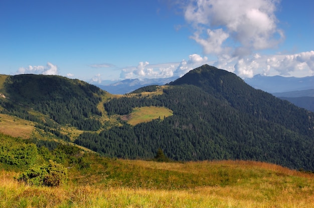 Sunny day landscape of the mountains