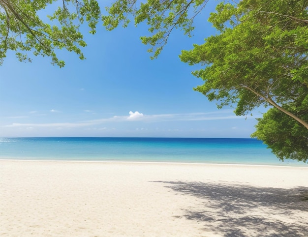 sunny day in the sea beech without people