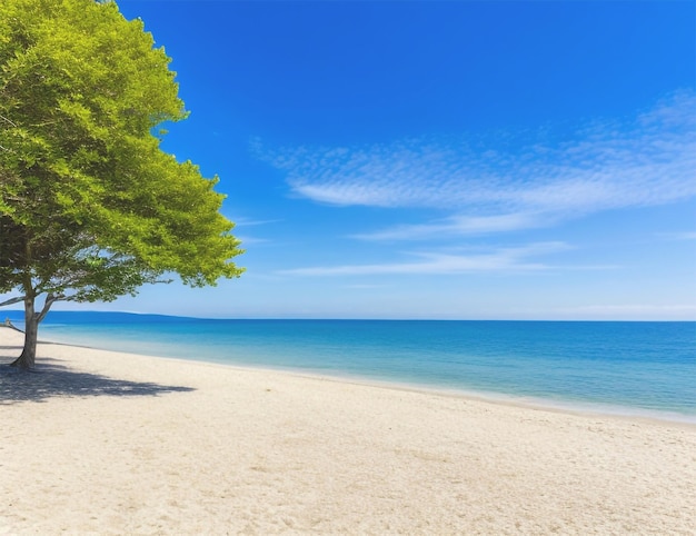 sunny day in the sea beech without people