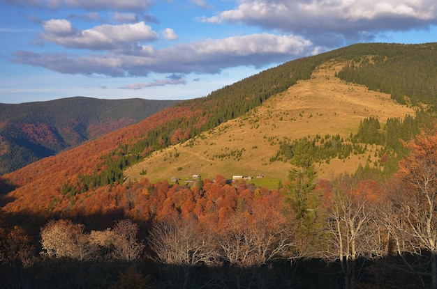 Sunny evening in the mountains. Autumn landscape with wooden houses. Carpathians, Ukraine, Europe