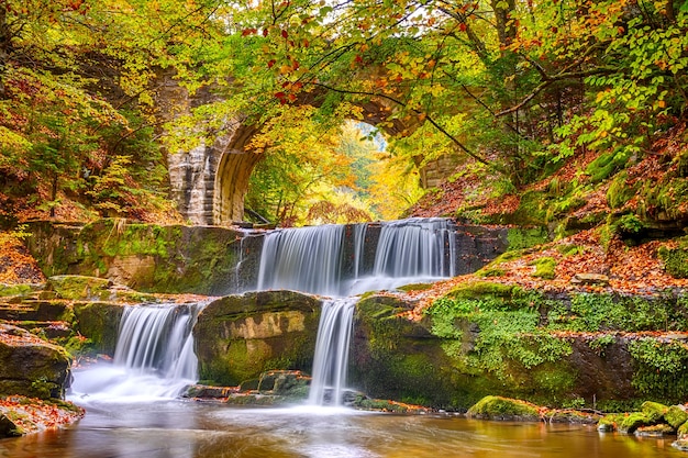 晴れた森と秋の日。滝のいくつかの自然の急流がある小さな川