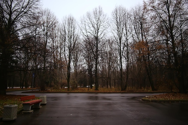 sunny landscape in fall park, autumn season background orange park