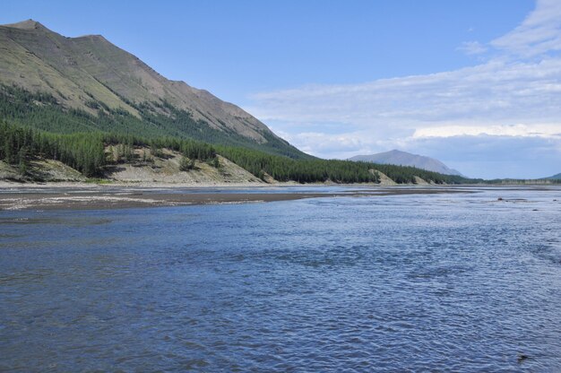 Sunny landscape of the river in mountains