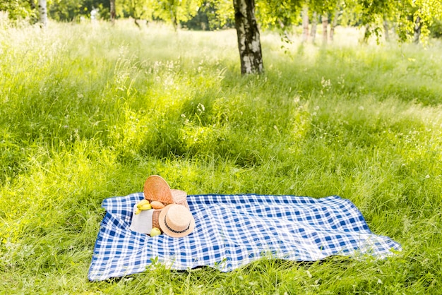 Photo sunny meadow with checkered plaid spread on grass for picnic