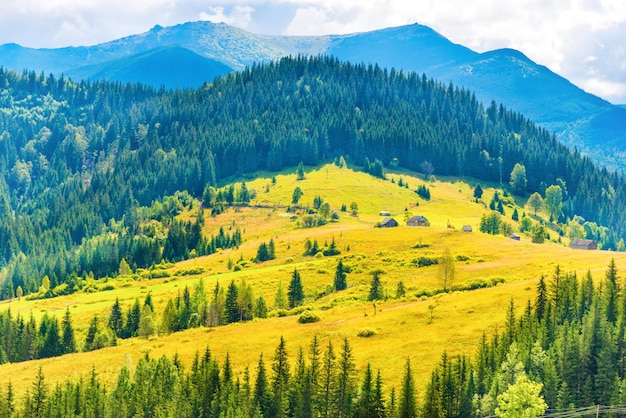 Sunny meadow with small rural houses