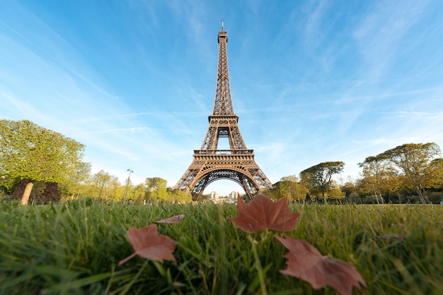 パリ、フランスのカエデの葉とパリとエッフェル塔の晴れた朝。