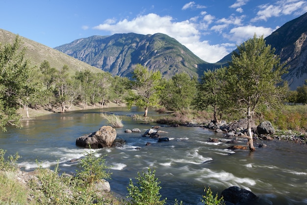 Foto mattinata di sole su una sponda del fiume nelle montagne di altai