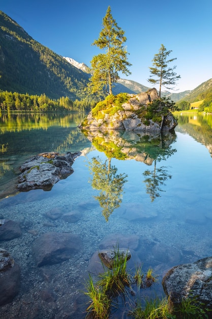 Mattinata soleggiata scenario sul lago hintersee splendida scena di alberi sull'isola rocciosa parco nazionale di ramsau berchtesgadener land le alpi baviera germania