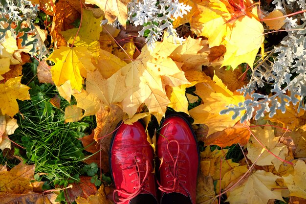 Sunny october weather.