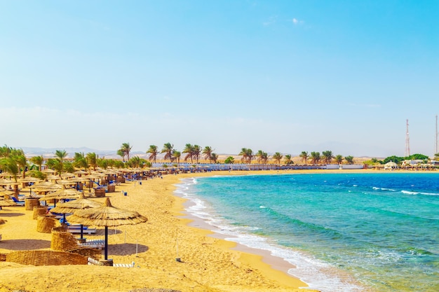 Sunny resort beach with palm trees and umbrellas on the shores of the Red Sea Safaga Egypt October 24 2023