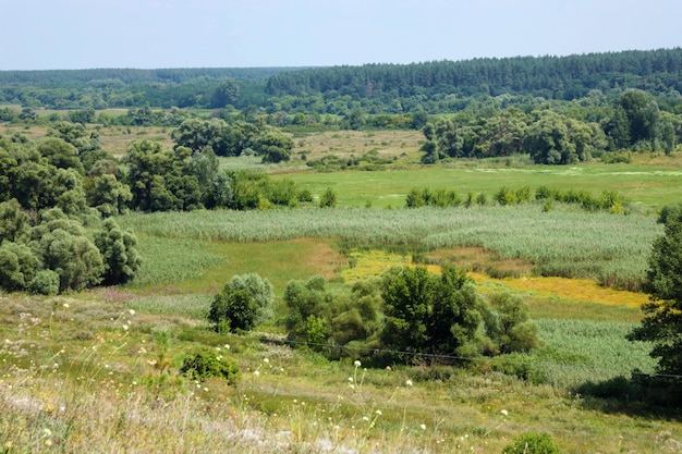 Солнечное весеннее утро на лугу с деревьями