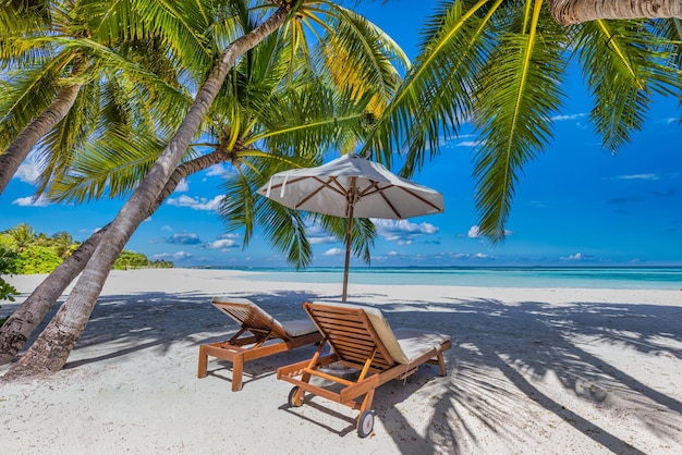 Sunny tropical beach nature, summer island with lounge chairs and palm tree leaves. amazing sea view