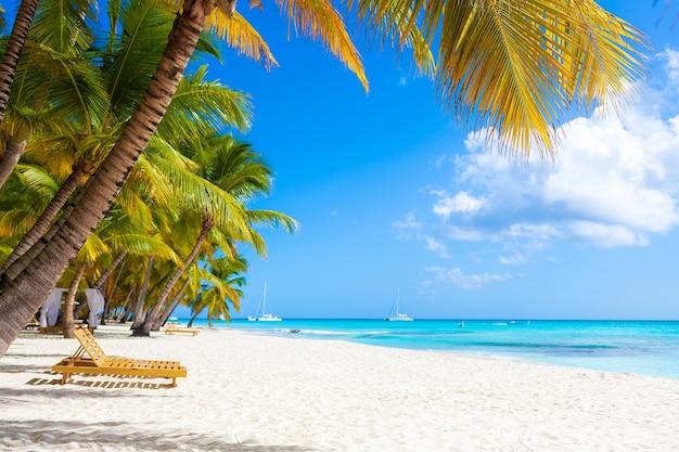 солнечный тропический райский пляж с белым песком и пальмами