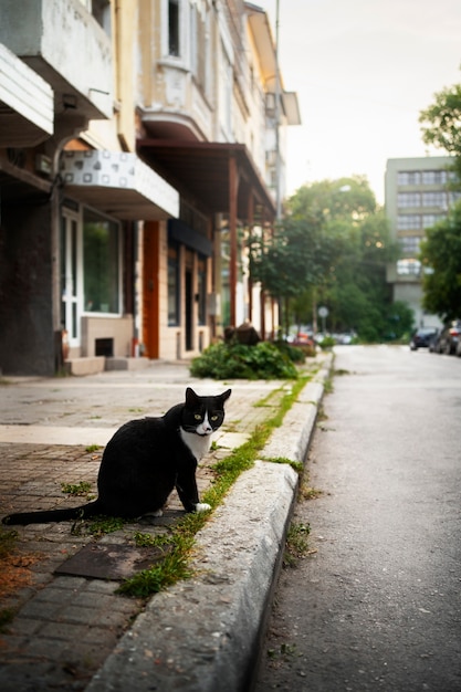 Foto paesaggio urbano soleggiato