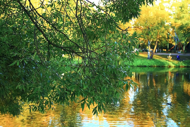 秋の公園の晴天