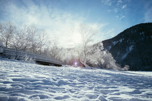 Sunny winter landscape in the alps snowy wooden bridge frosty trees and mountain range