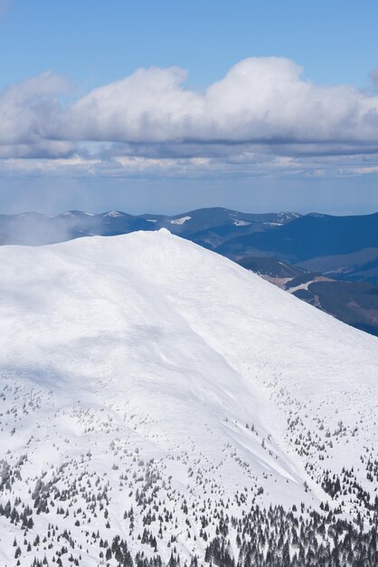 Sunny winter landscape in the mountains