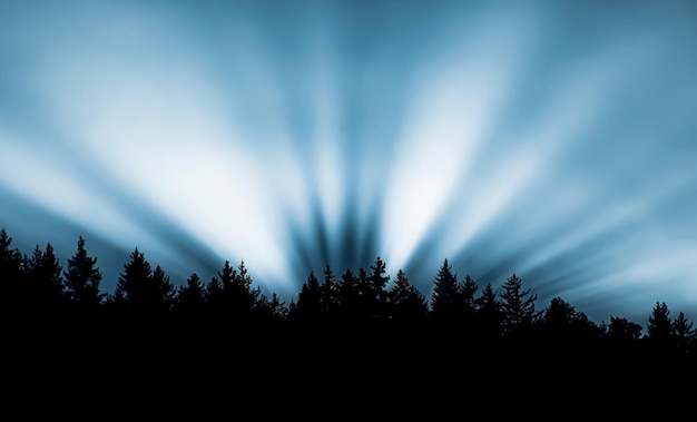 Sunrays on blue sky over trees in forest