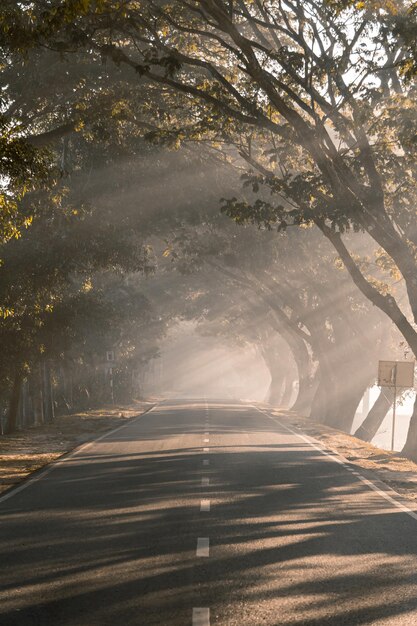 The sunrise as it rises in the foggy morning of winter