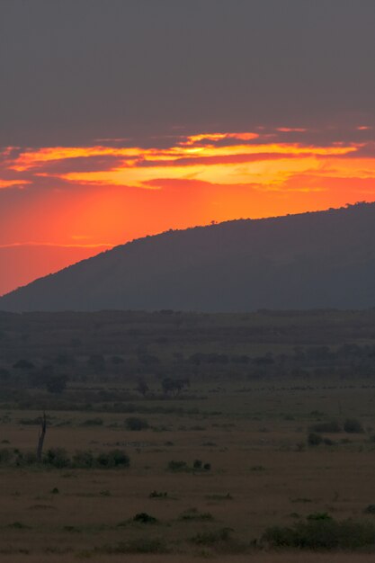 雲の日の出。ケニアマサイマラのサバンナ
