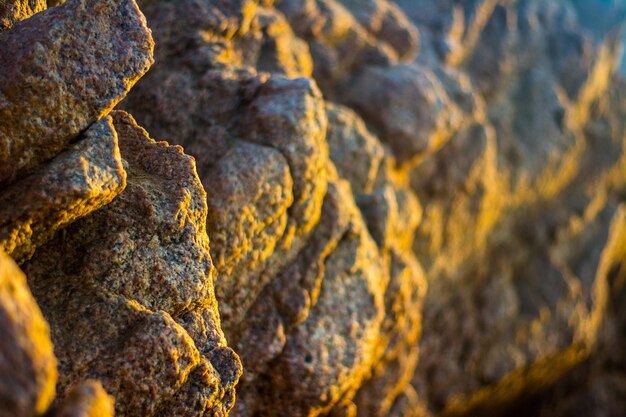 Foto l'alba nel deserto porta sempre grandi opportunità per le texture e per giocare con la luce.