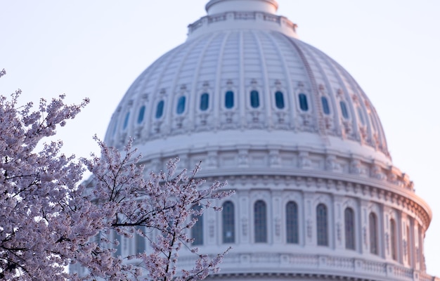 Photo sunrise behind the dome of the capitol in dc