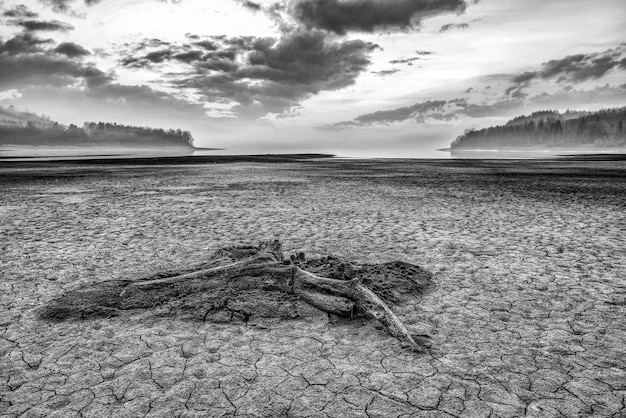 sunrise over dried lake and cracked earth