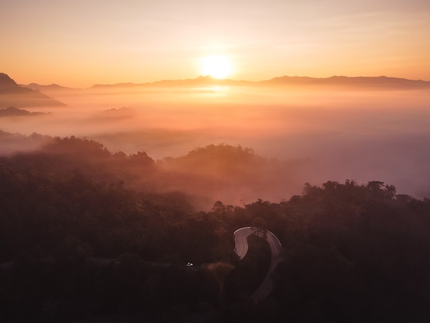 The sunrise and the fog in the forest,Warm sunshine in the morning