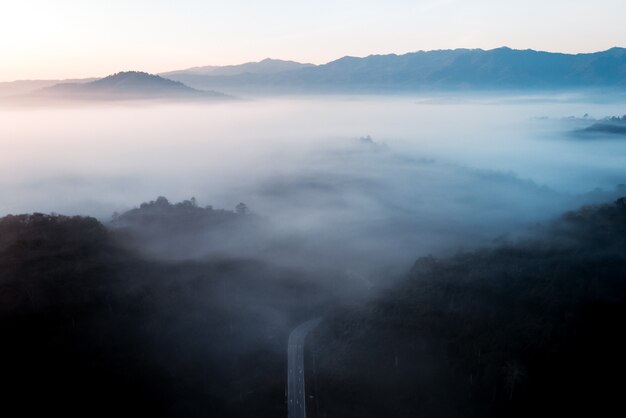 L'alba e la nebbia nella foresta, caldo sole al mattino