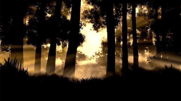 sunrise in forest illustration