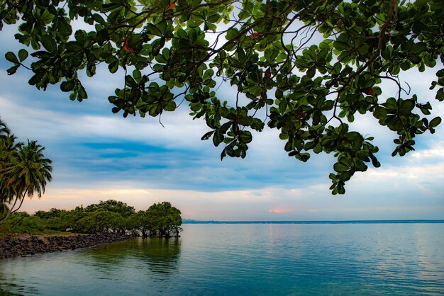 Foto alba sulla spiaggia di itaparica