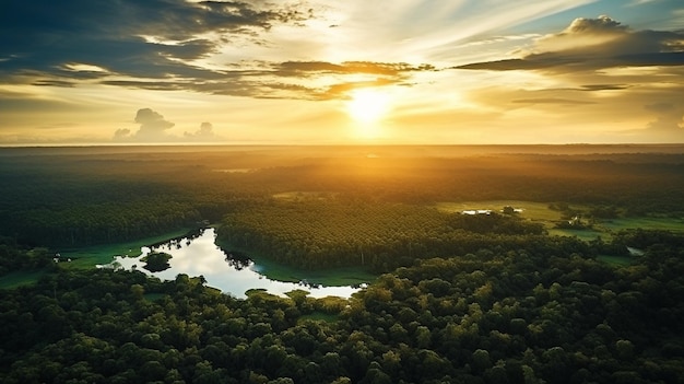 Photo sunrise in the jungle