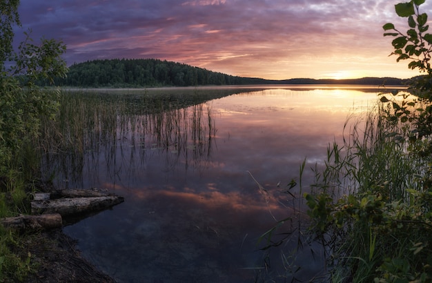 Sunrise over the lake with the reflection of bare trees in the water